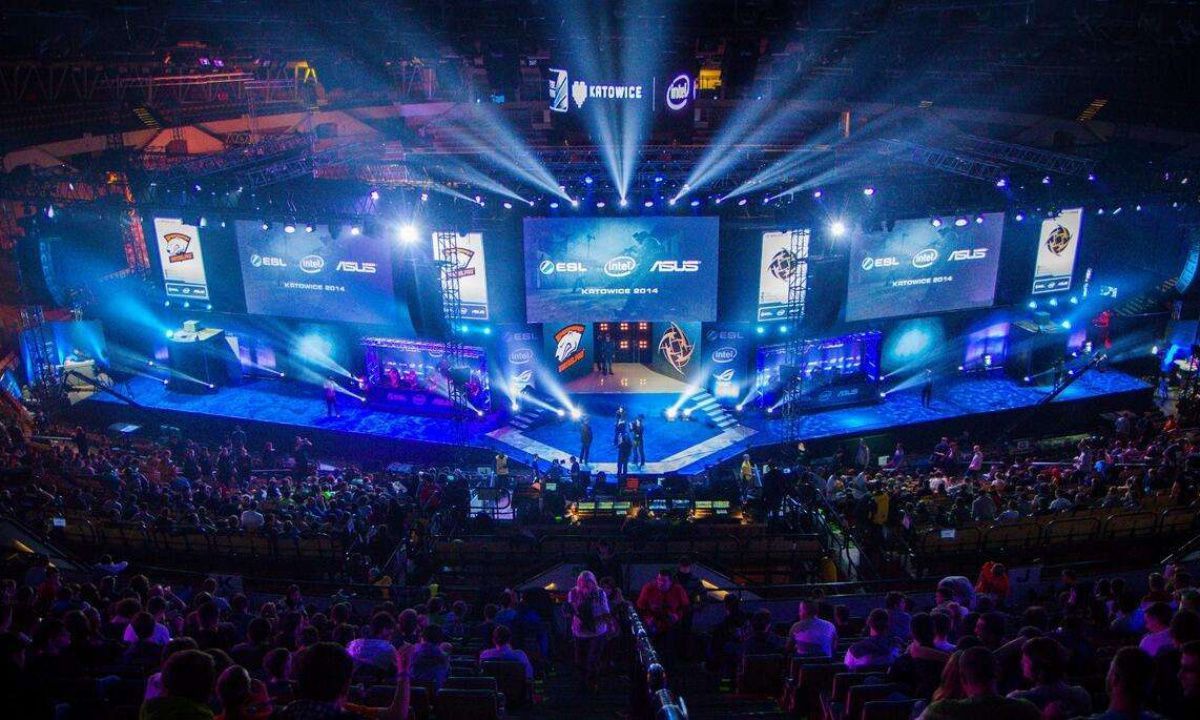 了解齐麟在 了解齐麟在